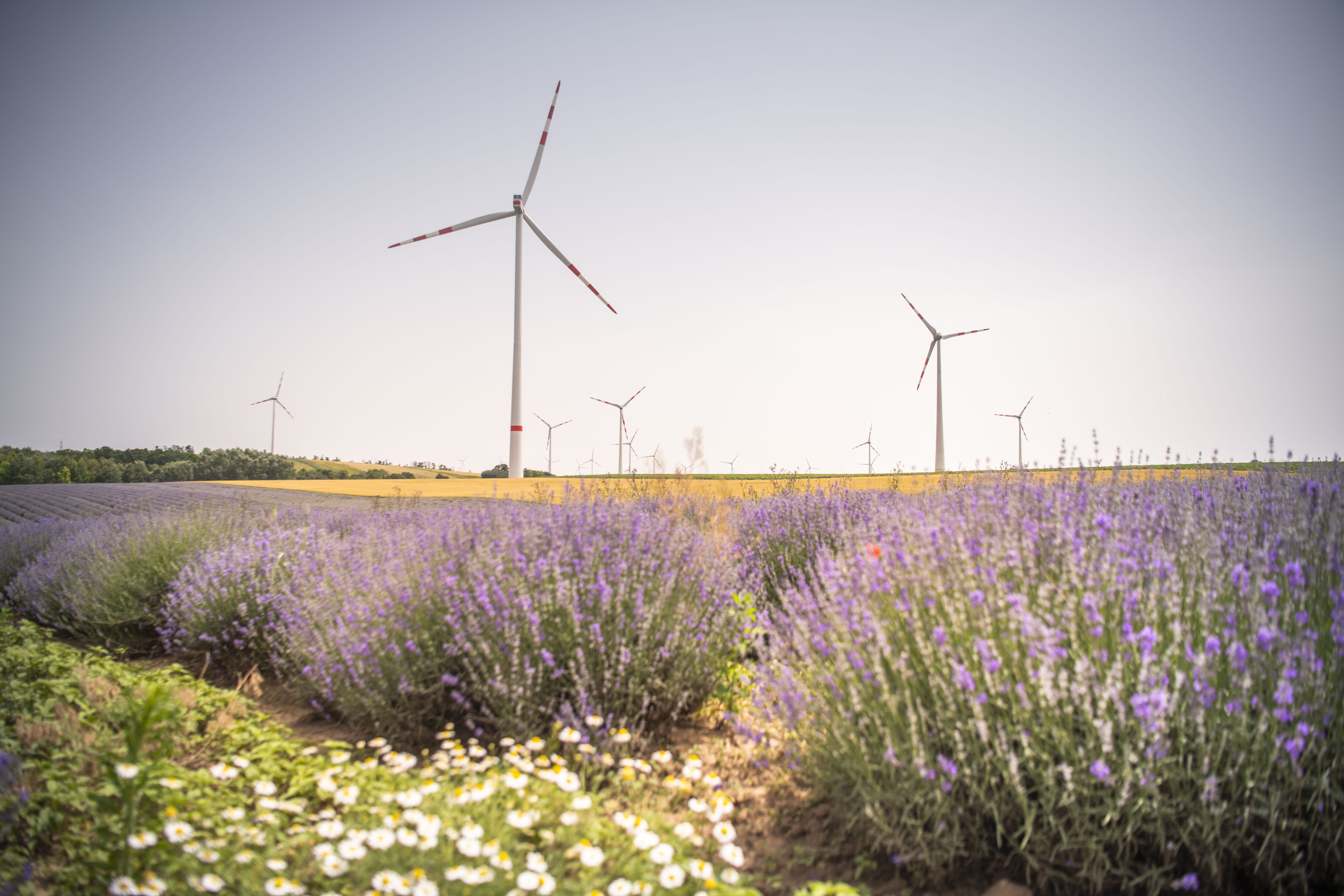 Windräder